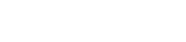 Pyro Pro Logo
